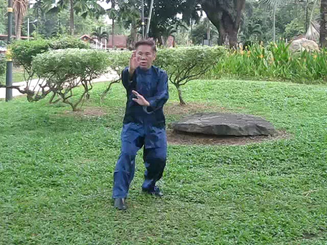 Wu Yu Xiang Style Taijiquan